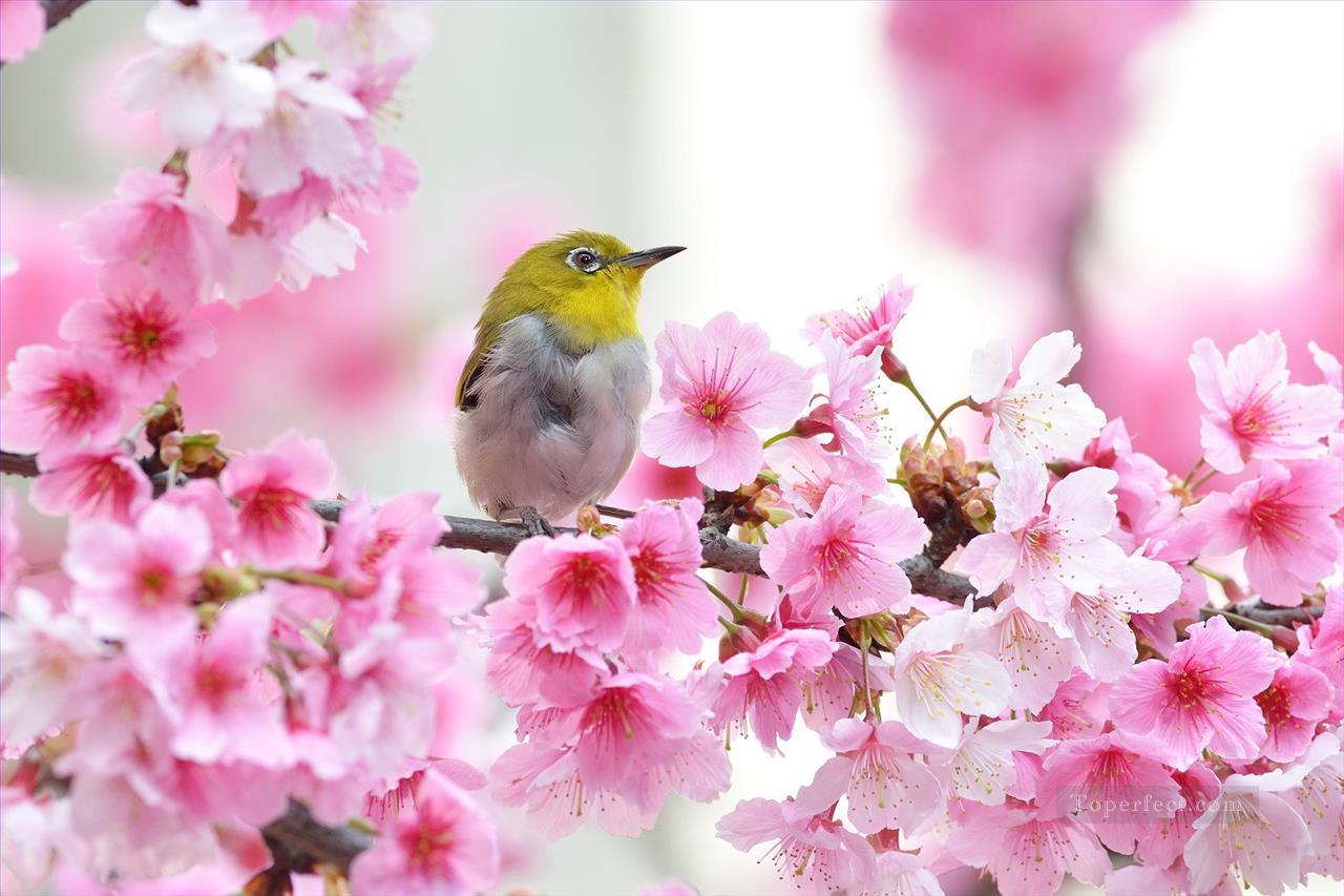 桜の中の鳥 春の絵画 写真からアートへ油絵